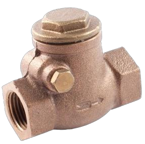 Threaded check valve — ESG Egypt